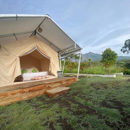 فندق Rejeng Garden Camp Bangli المظهر الخارجي الصورة